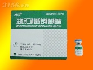 【注射用三磷酸腺苷輔酶胰島素】最新招商|代理|廠(chǎng)家|批發(fā)|價(jià)格|電話(huà)|獨(dú)家